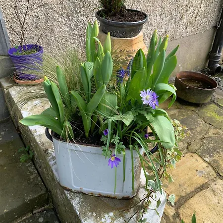 カントリーハウス Lisglassock House ロングフォード