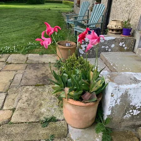 Lisglassock House カントリーハウス ロングフォード