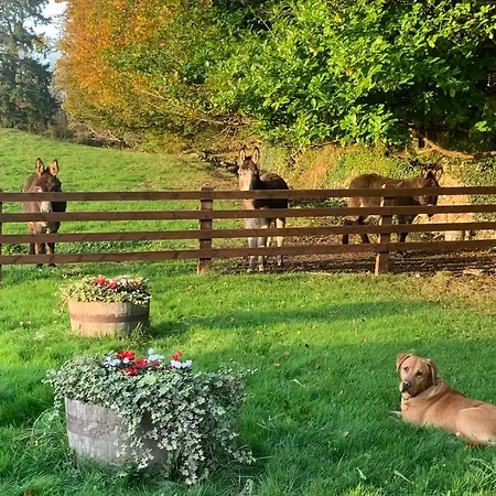 Lisglassock House カントリーハウス