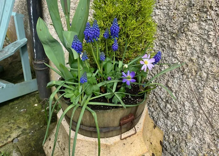 Lisglassock House * لونغفورد