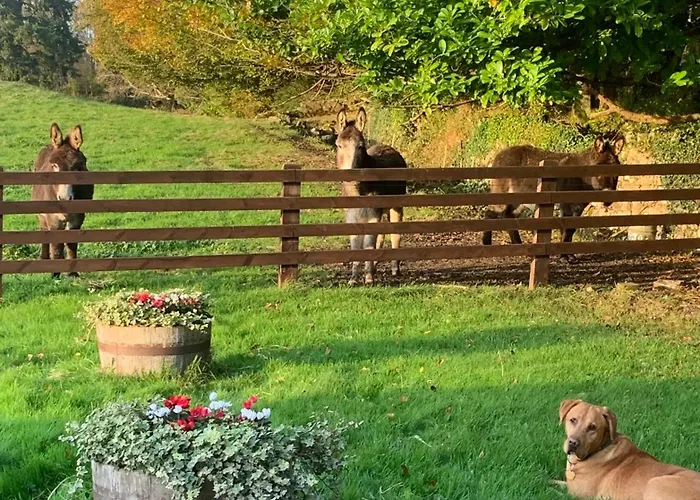 Lisglassock House Landsted